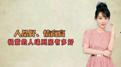 娱乐吃瓜君高情商小说,娱乐界的智慧瓜田